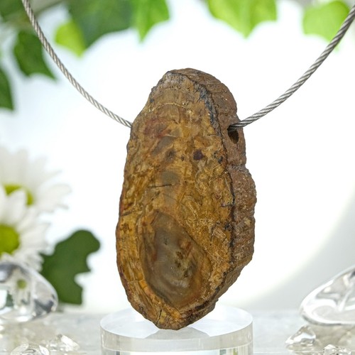 Versteinertes holz anhänger - versteinertes,