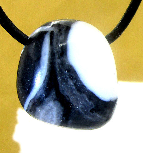 Shell jaspis shelljaspis - shell,