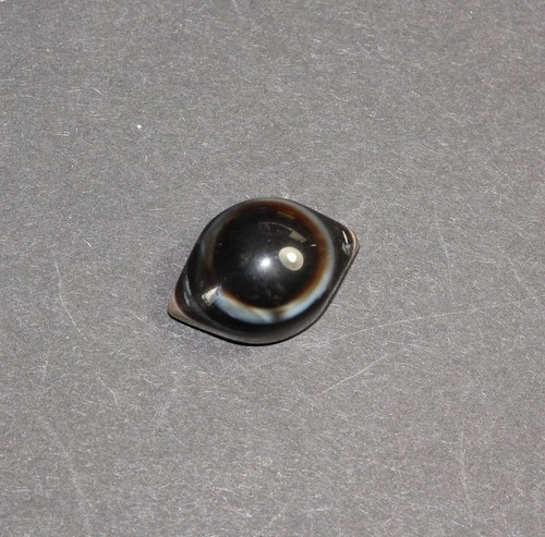Shiras auge sammlerstein - auge,