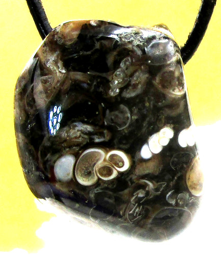 Turitella achat - turitella,